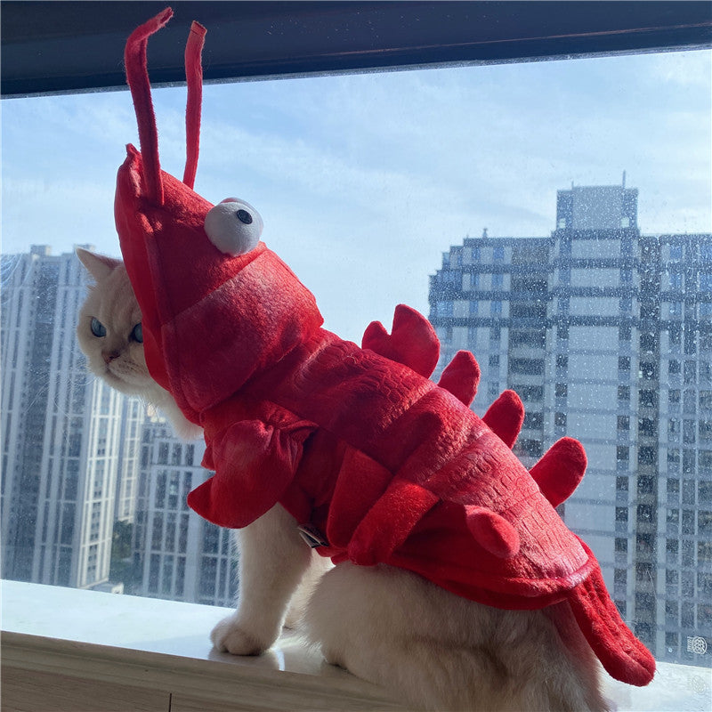 Funny Halloween Lobster Cat Costume – Holiday Pet Wear
