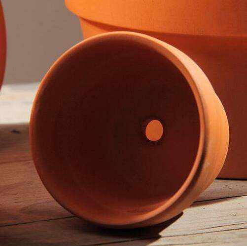 Small mini clay pots, perfect for gardening and crafts.