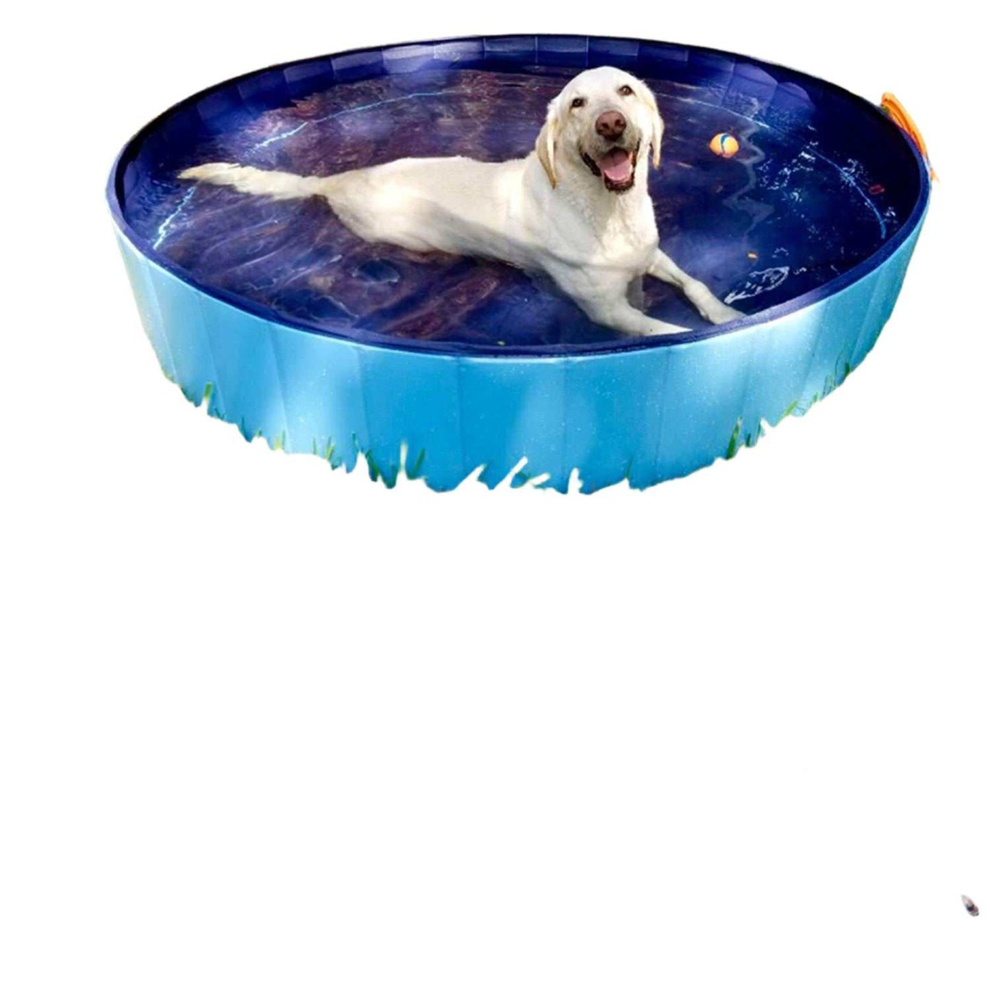 Foldable dog pool with dogs playing joyfully, showcasing sturdy and durable PVC construction, suitable for indoor and outdoor use.