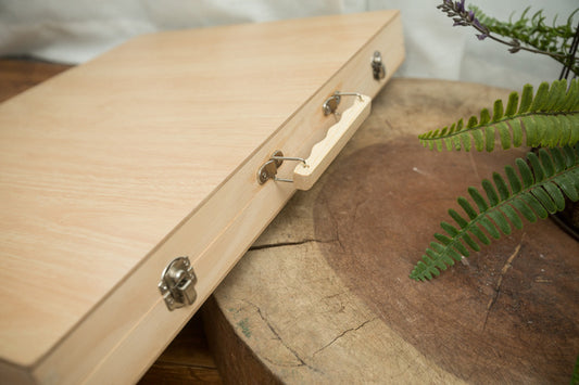 Deluxe Art Set with Wooden Case(251-Piece)