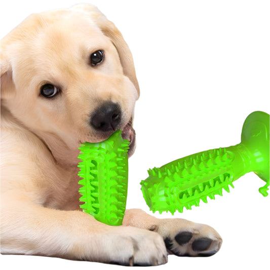 Interactive dog chewing and teething ball toy for small dogs.