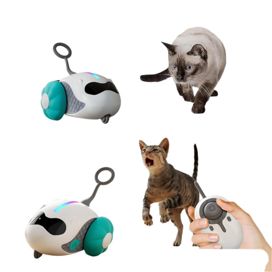 Smart Rechargeable Interactive Cat Toy with Remote Control