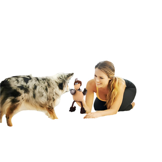 Stuffless Squeaky Plush Dog Toy for Aggressive Chewers