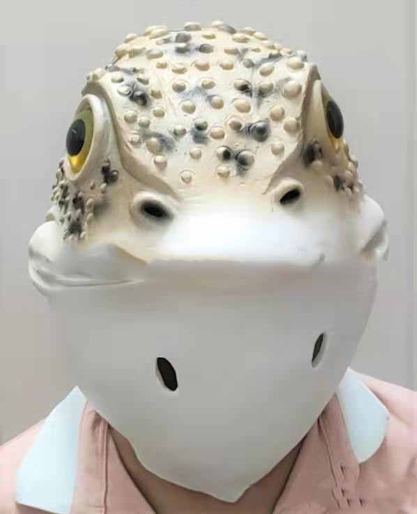Halloween Golden Toad Latex Mask