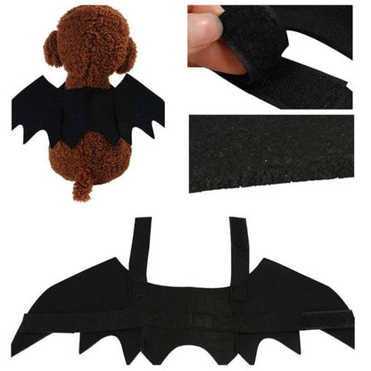 Halloween Black Felt Bat Wings for Pets
