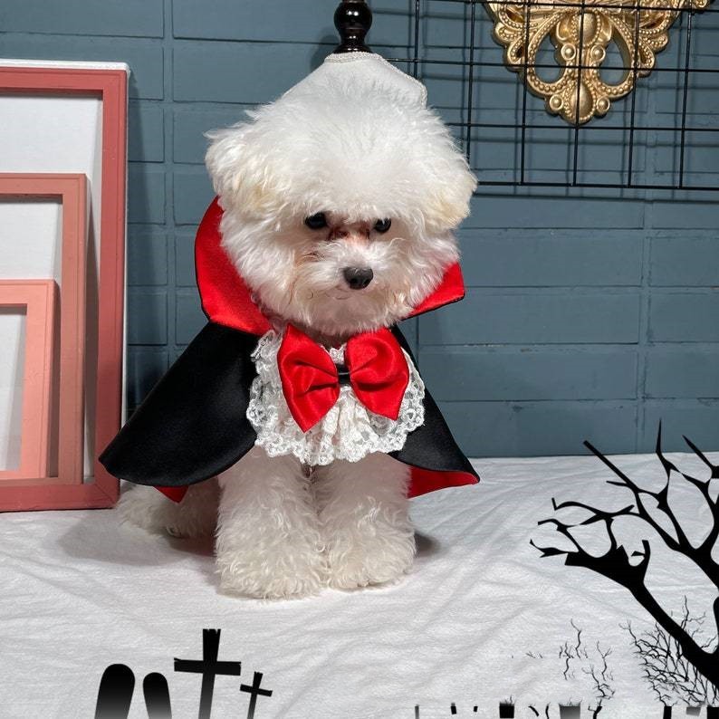 Pet Vampire Halloween Cloak – Red Costume