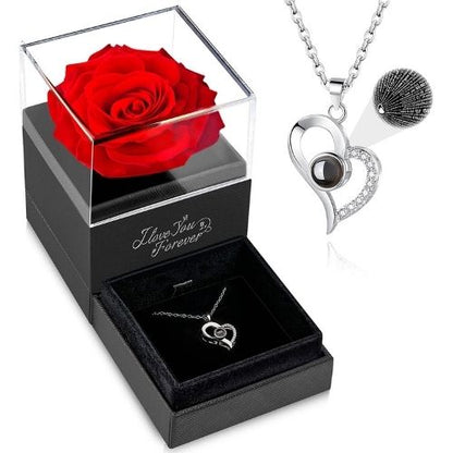 Preserved rose with necklace gift symbolizing eternal love for birthdays, anniversaries, and special occasions