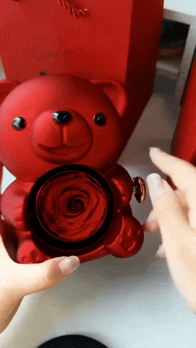Eternal Rose Teddy Bear Gift Box with Necklace for Women