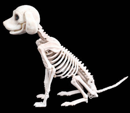 Halloween Animal Skeleton Decoration – Spooky Props
