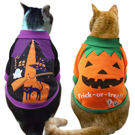 Two cats wearing Halloween pet cat costumes, one in a purple witch-themed outfit and the other in an orange pumpkin-themed jacket with "Trick-or-treat" text