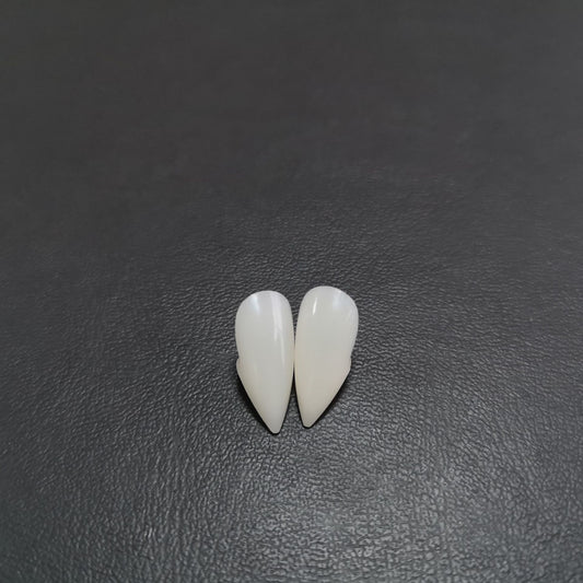 Halloween Vampire Zombie Dentures – Cosplay Prop