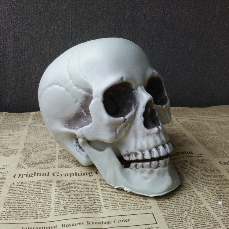 Halloween Artificial Skull Decoration – Multiple Sizes