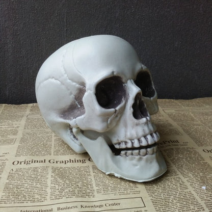Halloween Artificial Skull Decoration – Multiple Sizes