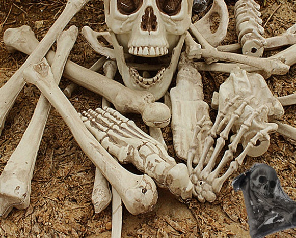 Halloween Skeleton Bones Set – 28pcs Party Decor