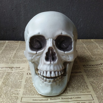 Halloween Artificial Skull Decoration – Multiple Sizes
