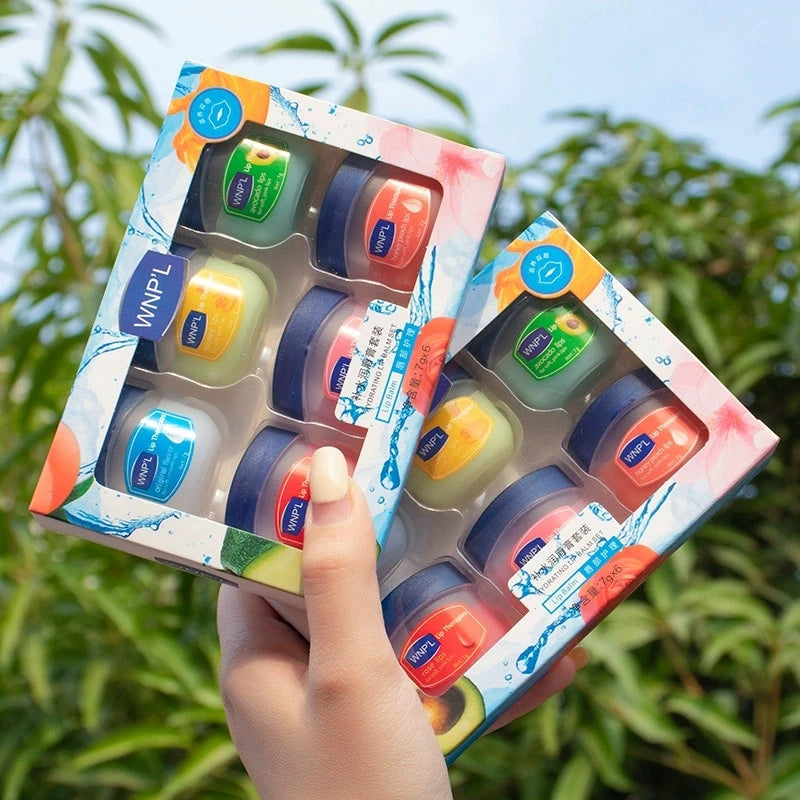 Hydrating Lip Balm Set 6pcs Natural Plant Moisturizing Lip Care Kit