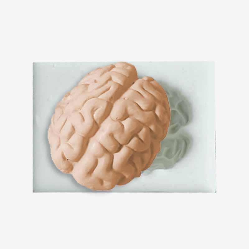 Halloween Brain & Heart Silicone Mold – DIY Fun