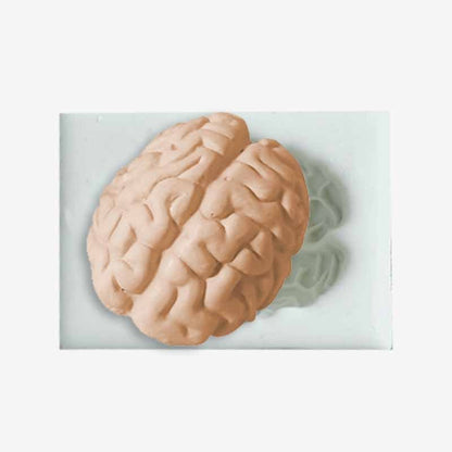 Halloween Brain & Heart Silicone Mold – DIY Fun