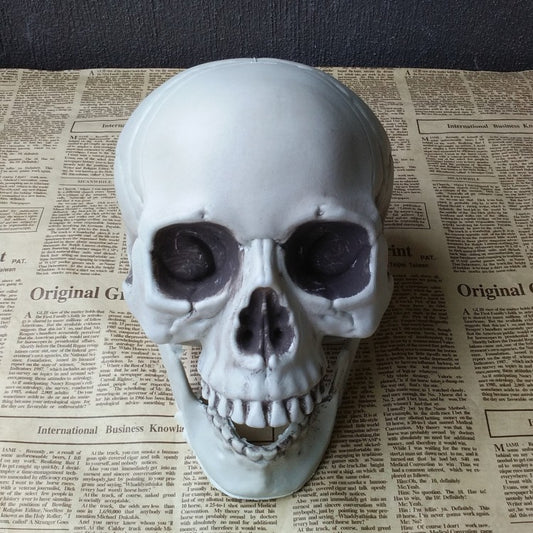 Halloween Artificial Skull Decoration – Multiple Sizes