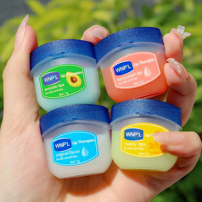 Hydrating Lip Balm Set 6pcs Natural Plant Moisturizing Lip Care Kit