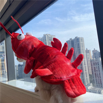 Funny Halloween Lobster Cat Costume – Holiday Pet Wear