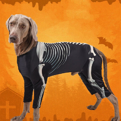 Halloween Skull Dog Costume – Black Pet Outfit