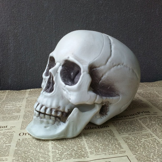 Halloween Artificial Skull Decoration – Multiple Sizes