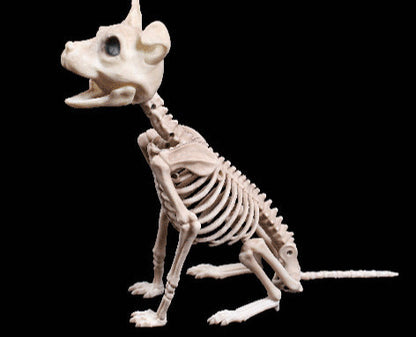 Halloween Animal Skeleton Decoration – Spooky Props