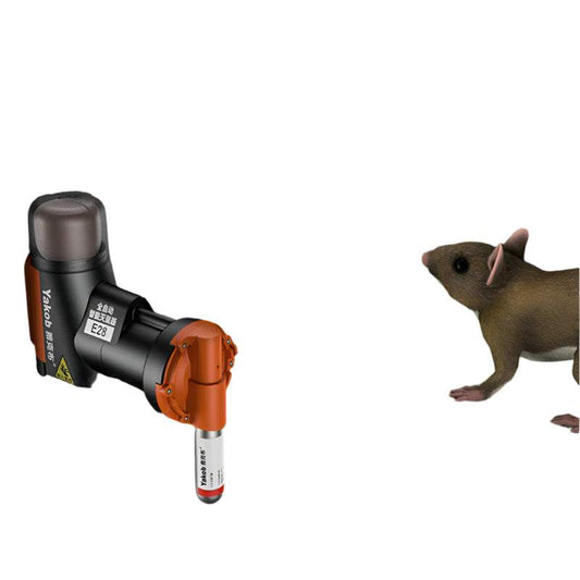 Automatic intelligent mouse killer device in action near a mouse.