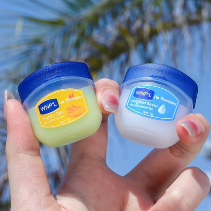 Hydrating Lip Balm Set 6pcs Natural Plant Moisturizing Lip Care Kit