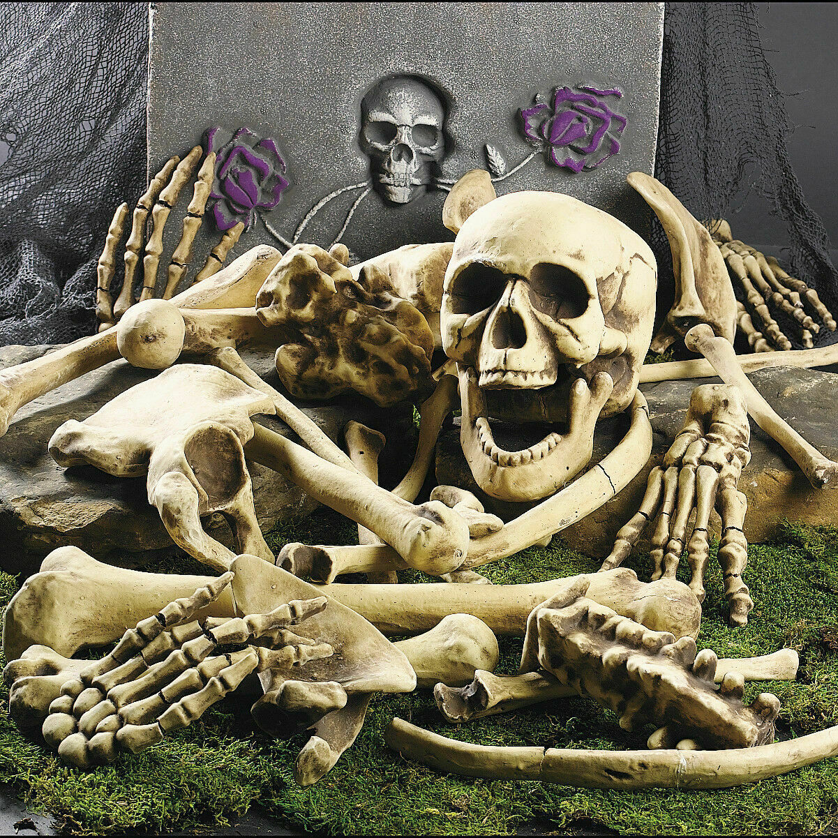 Halloween Skeleton Bones Set – 28pcs Party Decor