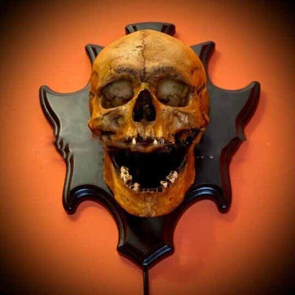 Skeleton Wall Lamp – Spooky Halloween Decor
