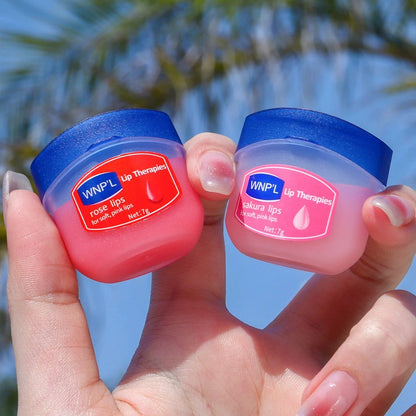 Hydrating Lip Balm Set 6pcs Natural Plant Moisturizing Lip Care Kit