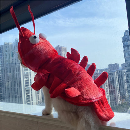 Funny Halloween Lobster Cat Costume – Holiday Pet Wear