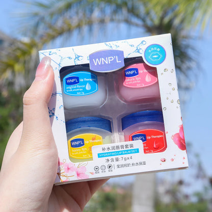 Hydrating Lip Balm Set 6pcs Natural Plant Moisturizing Lip Care Kit