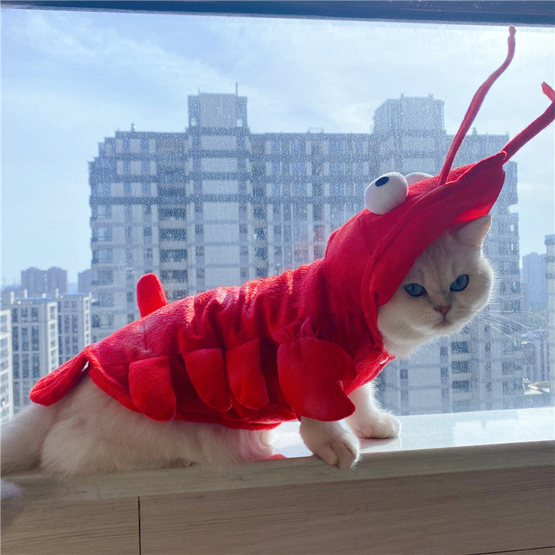 Funny Halloween Lobster Cat Costume – Holiday Pet Wear