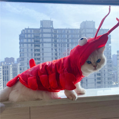 Funny Halloween Lobster Cat Costume – Holiday Pet Wear