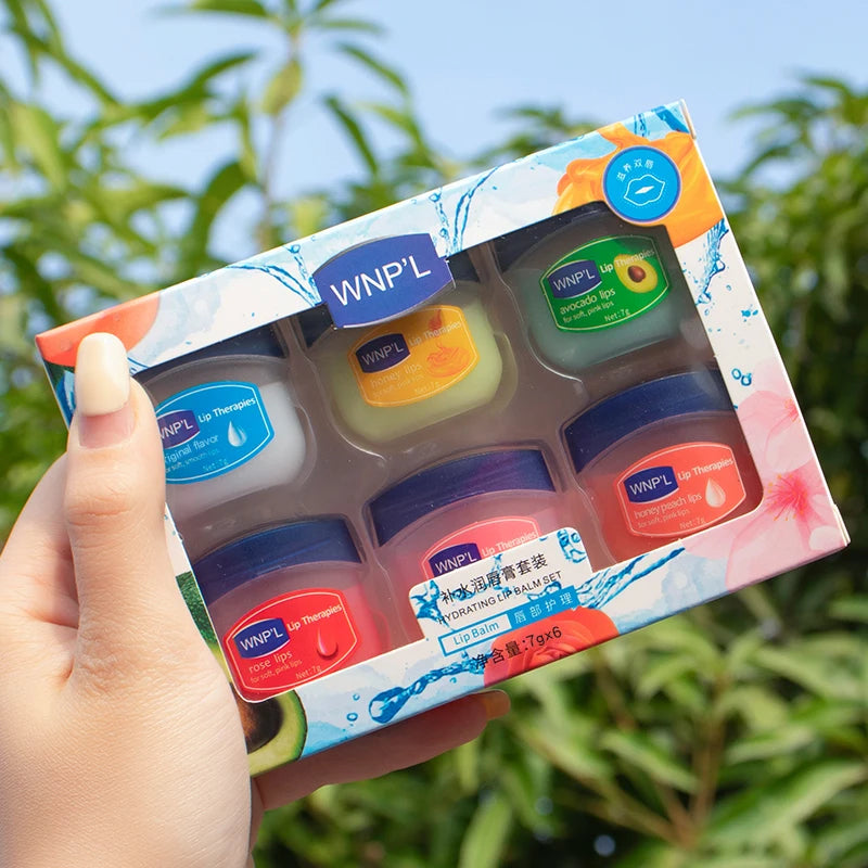 Hydrating Lip Balm Set 6pcs Natural Plant Moisturizing Lip Care Kit