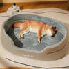 Thickening pet dog bed with plush lining, ideal for all seasons, featuring a sleeping dog.