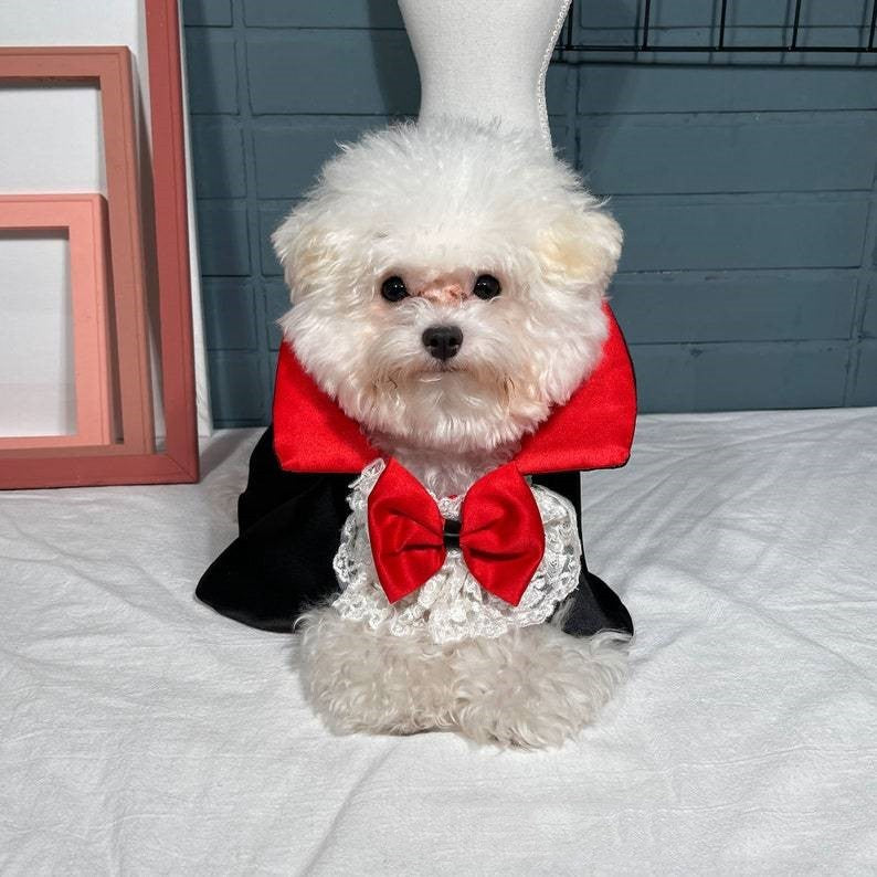 Pet Vampire Halloween Cloak – Red Costume