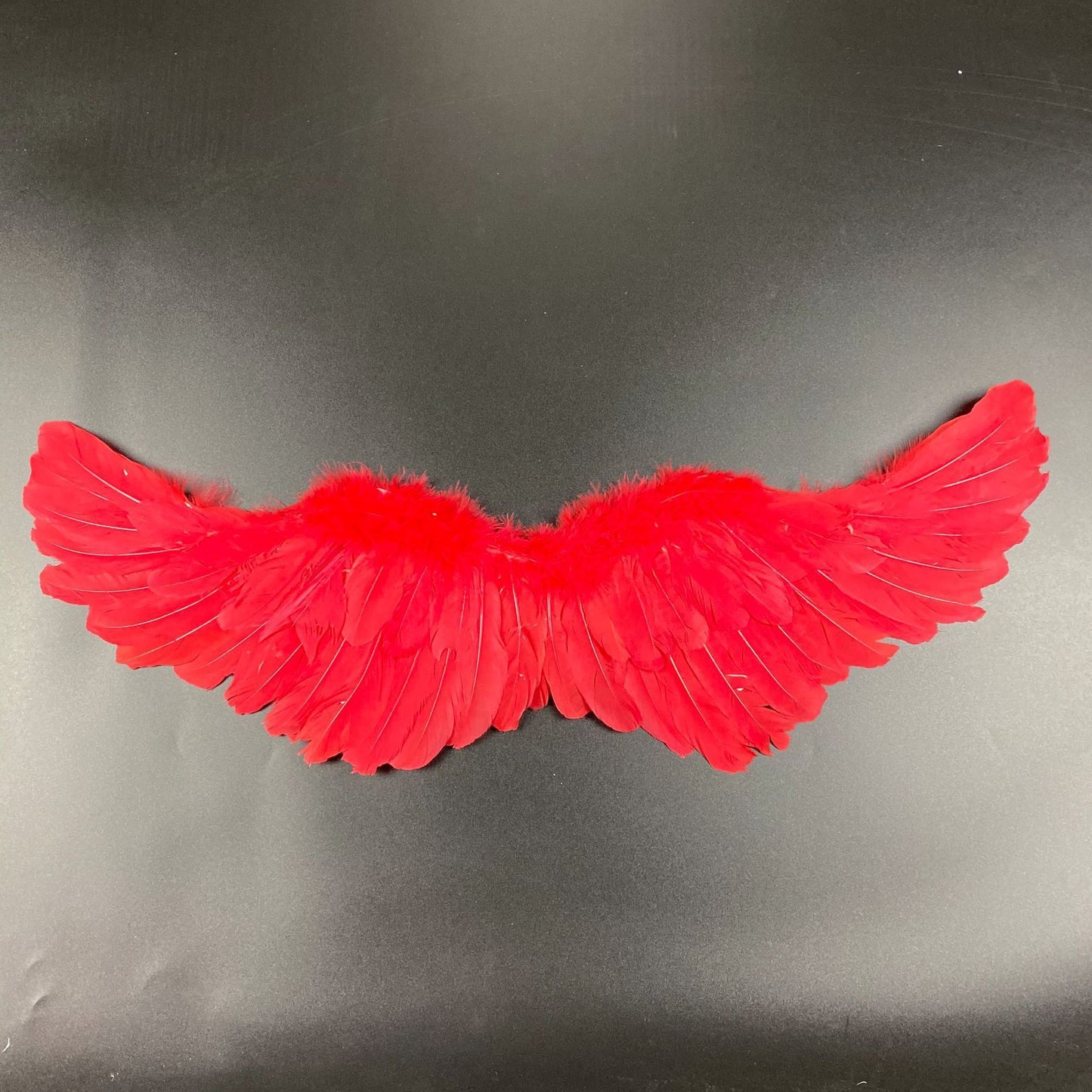 Personalized Halloween Angel Wings – Cosplay Accessory