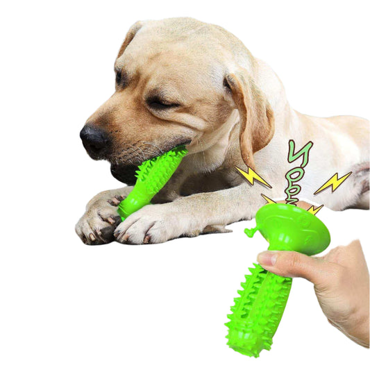 Dog playing with a green interactive squeaky chew toy for teething and training, highlighting sound attraction feature.