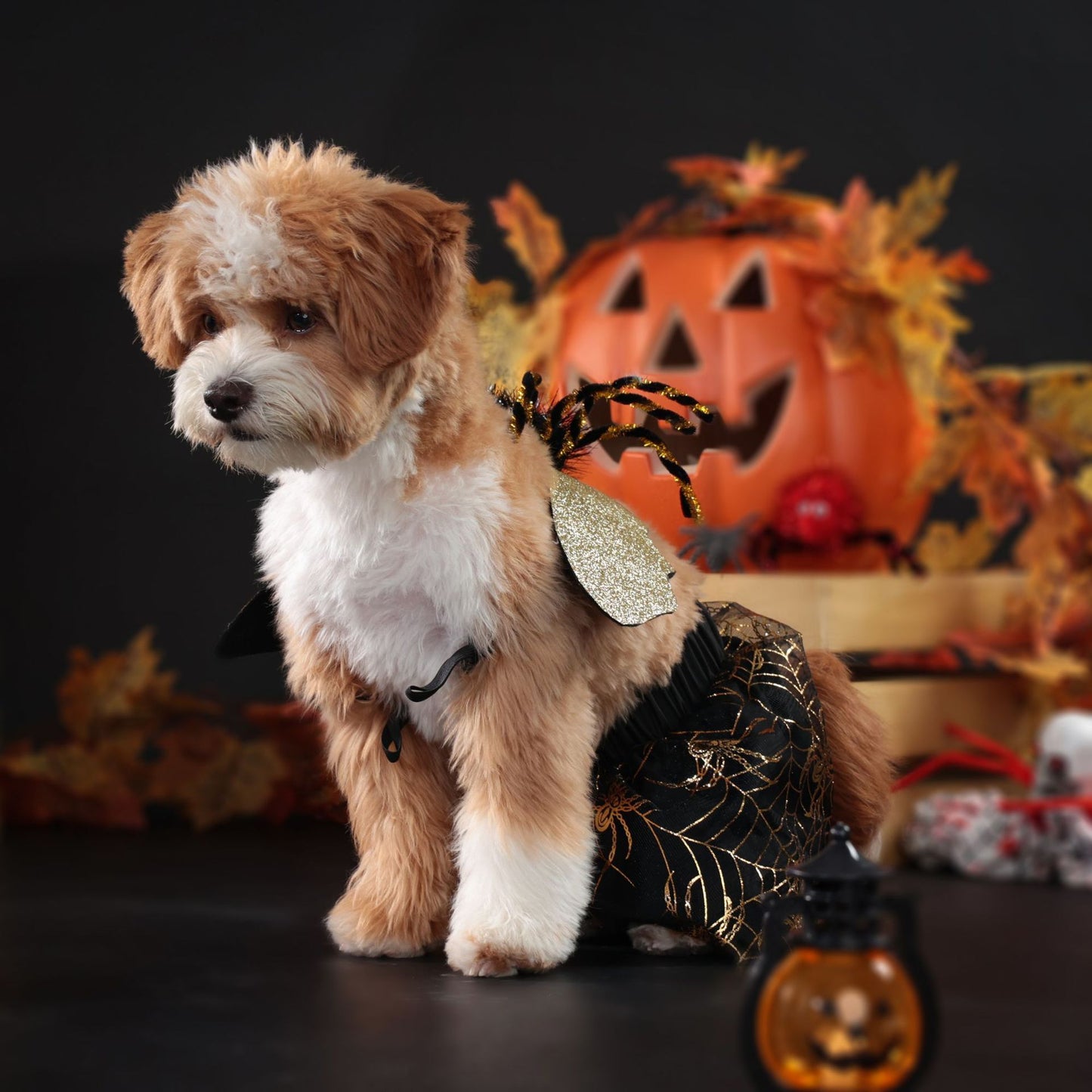 Halloween Party Dog Suit – Cute Pet Costume