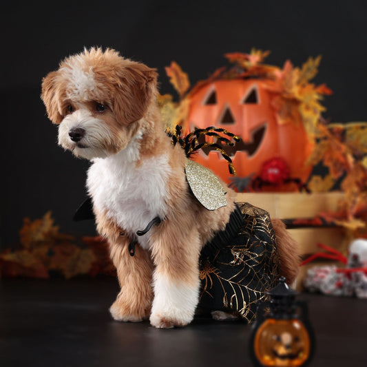 Halloween Party Dog Suit – Cute Pet Costume