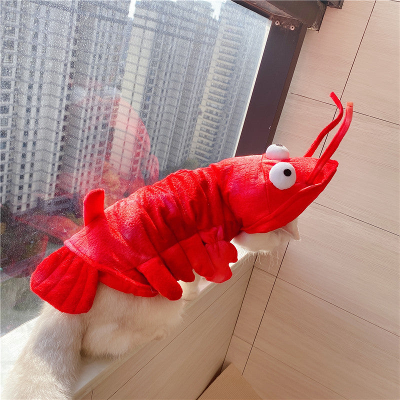 Funny Halloween Lobster Cat Costume – Holiday Pet Wear