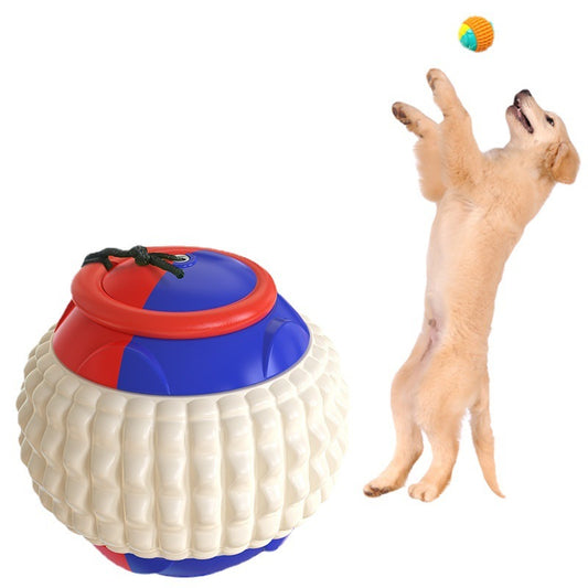 Durable Dog Training & Throwing Toy Ball – Gnaw Resistant