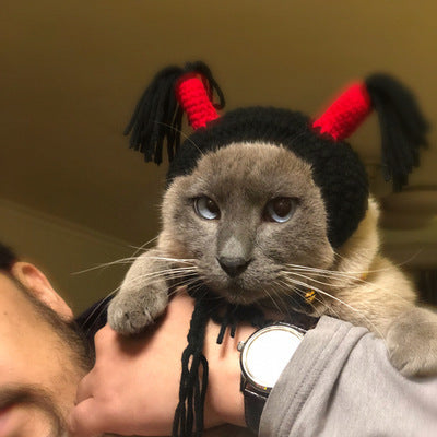 Funny Halloween Pet Hood Hat for Cats